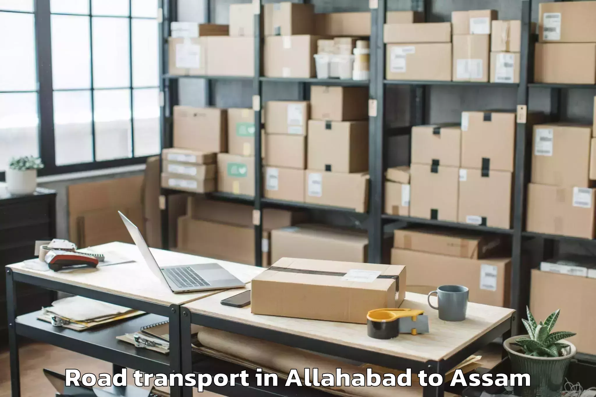 Top Allahabad to Sorbhog Road Transport Available